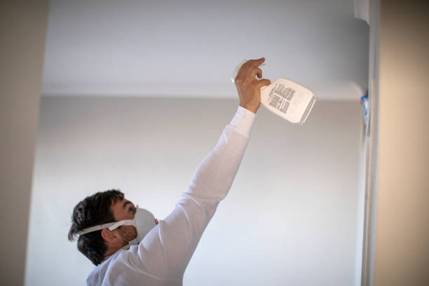 Best Mold Testing  in Camp Hill, AL