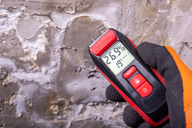 Best Mold Remediation  in Camp Hill, AL