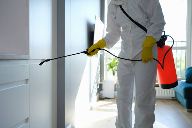 Best Attic Mold Removal  in Camp Hill, AL
